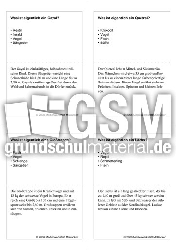 Quiz-Karten-Tiernamen 54.pdf